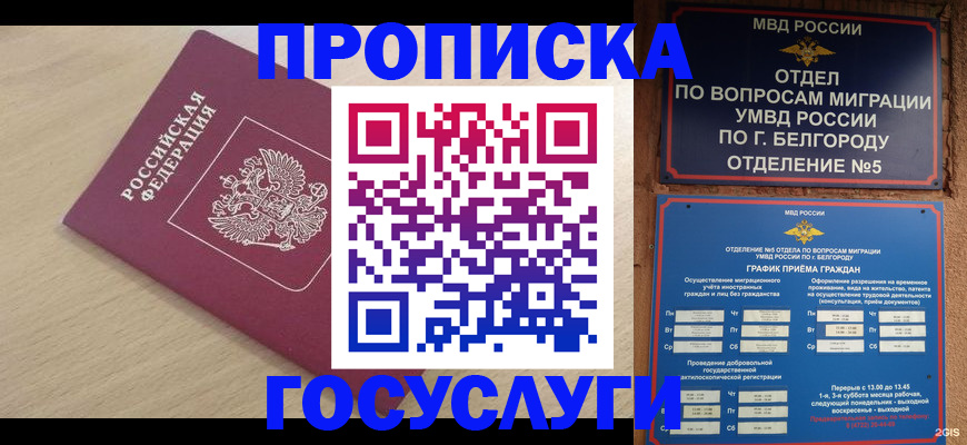 прописка законно в Дальнегорске